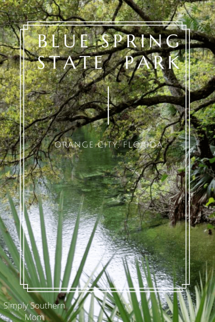 Blue Spring State Park in Orange City, Florida – Simply Southern Mom