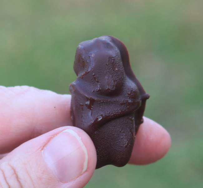 Chocolate-Covered-Gummy-Bears-Recipe