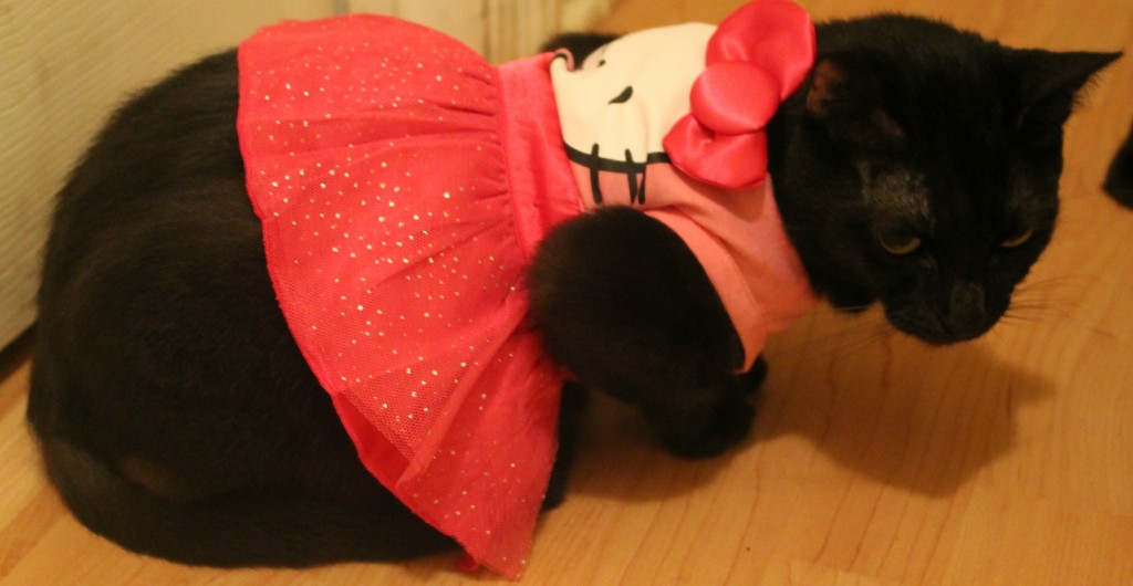 Mitzie as Hello Kitty