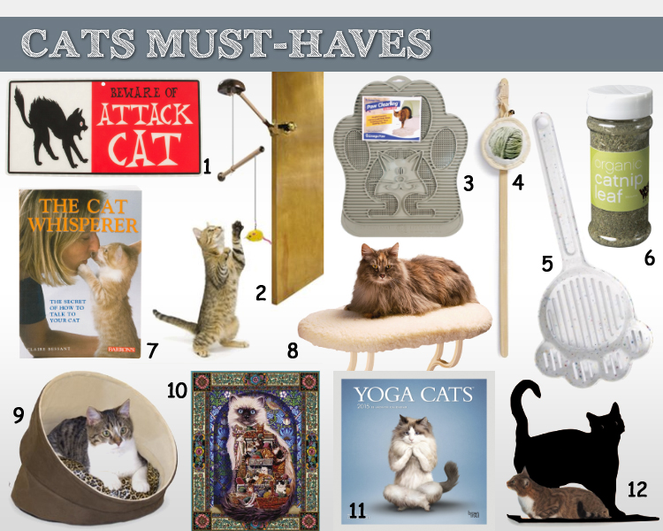 Cat Must Haves Shopping Guide 