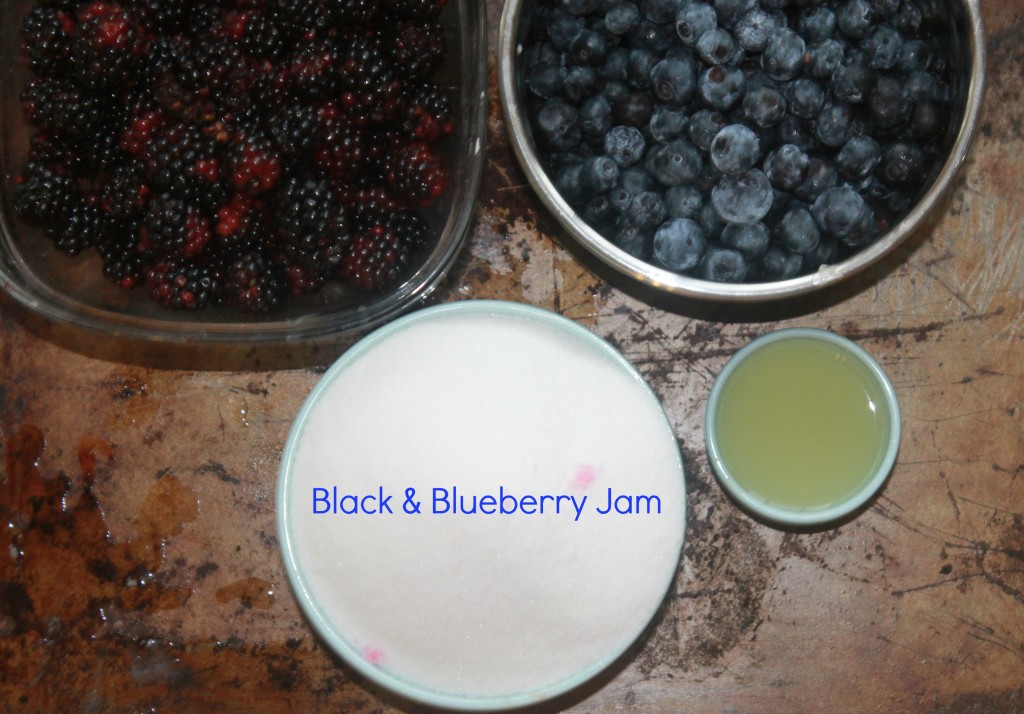 Black and Blueberry Jam ingredients