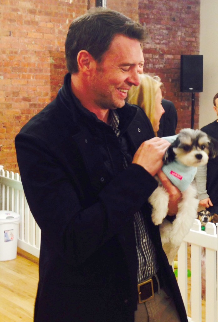 Scott Foley Swiffer Pet Adoption Event