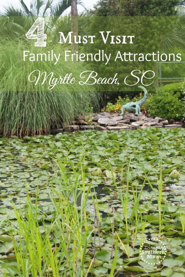 Family-Friendly-Attractions-Myrtle-Beach,-SC--compressor