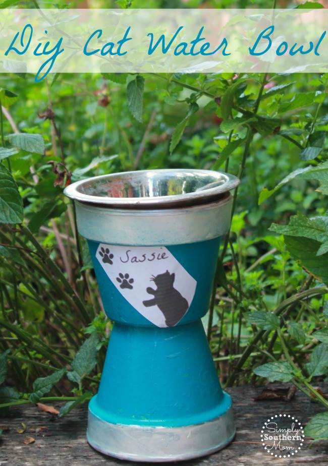 Diy Cat Water Bowl