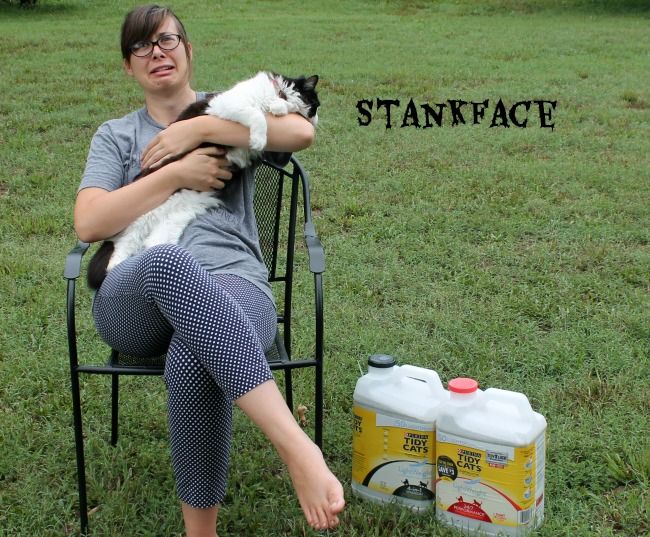 "Stankface" Tidy Cats Litter