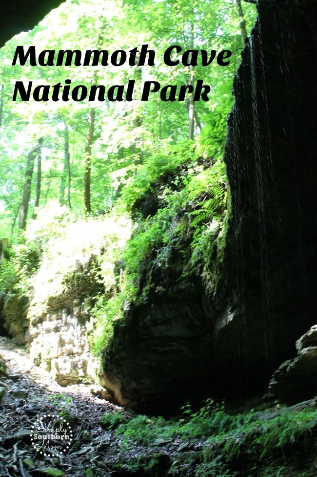 Have you explored Mammoth Cave National Park in P