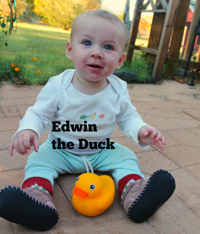 edwin-the-duck
