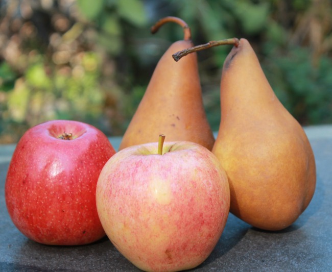 apple-pear-baby-food-recipe