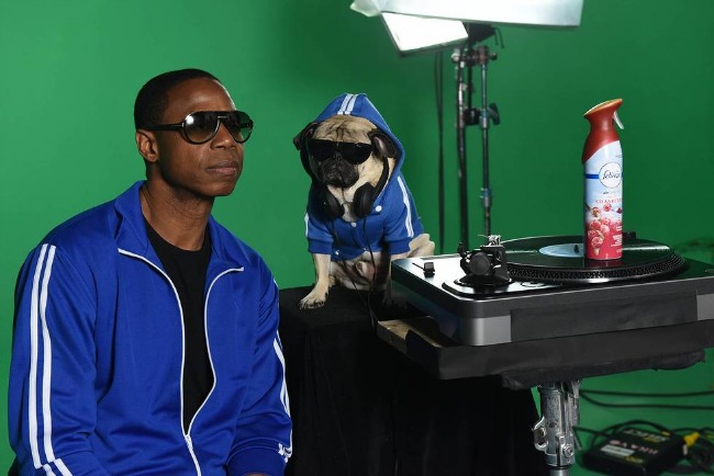 Beatboxer Doug E. Fresh and Instagram star @ItsDougThePug pose on the New York, NY set of their music video for the hip-hop remix of Febreze’s second annual “The #12Stinks of Christmas.” Following the success of last year’s “The #12Stinks of Christmas” music video, this funky fresh remix is available now on YouTube.com/Febreze. Eliminate stinks in a merry way all season long with Febreze’s limited-edition holiday offerings. (Photo by Diane Bondareff/Invisionfor Febreze/AP Images)