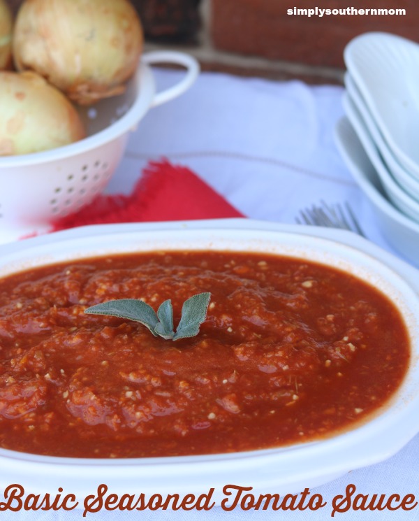 Basic Seasoned Tomato Sauce