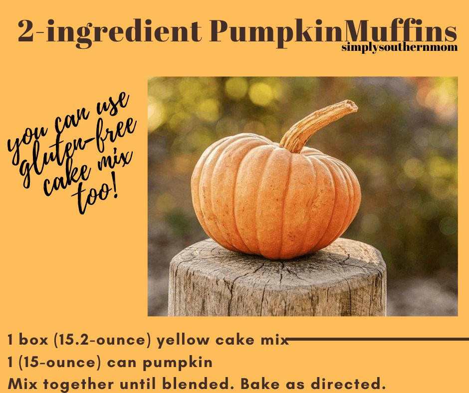 2-ingredient-pumpkin-muffins