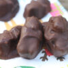 CHocolate-covered-gummy-bear-recipe