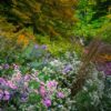 10-Flower-Garden-Basics-You-Need-To-Know